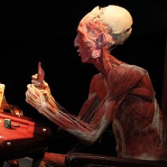 Gunther von Hagens' KÖRPERWELTEN Gunther von Hagens' KÖRPERWELTEN